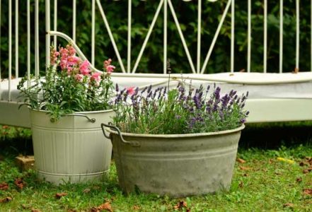 Garden in a Box Image